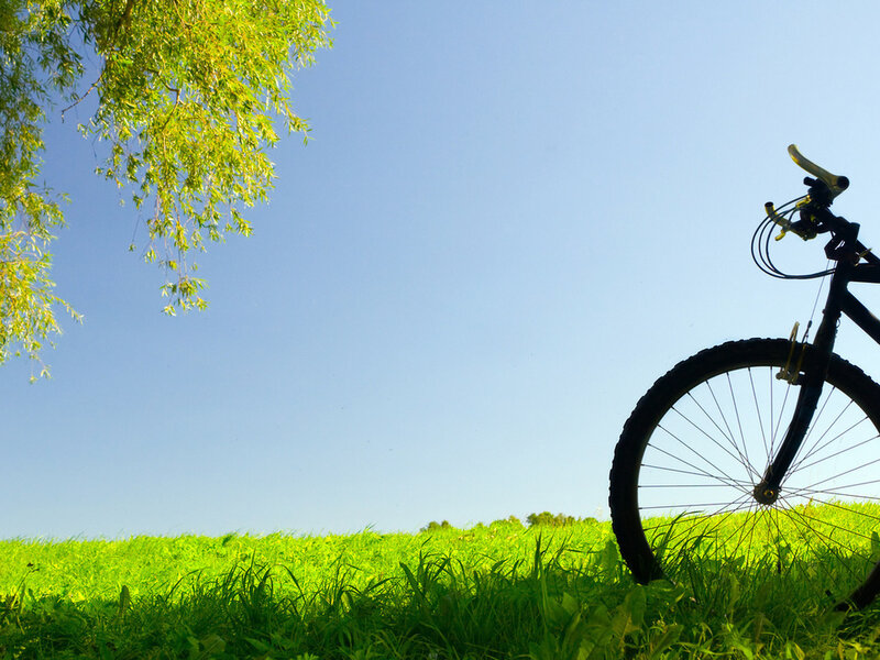 Bicycle in Grass