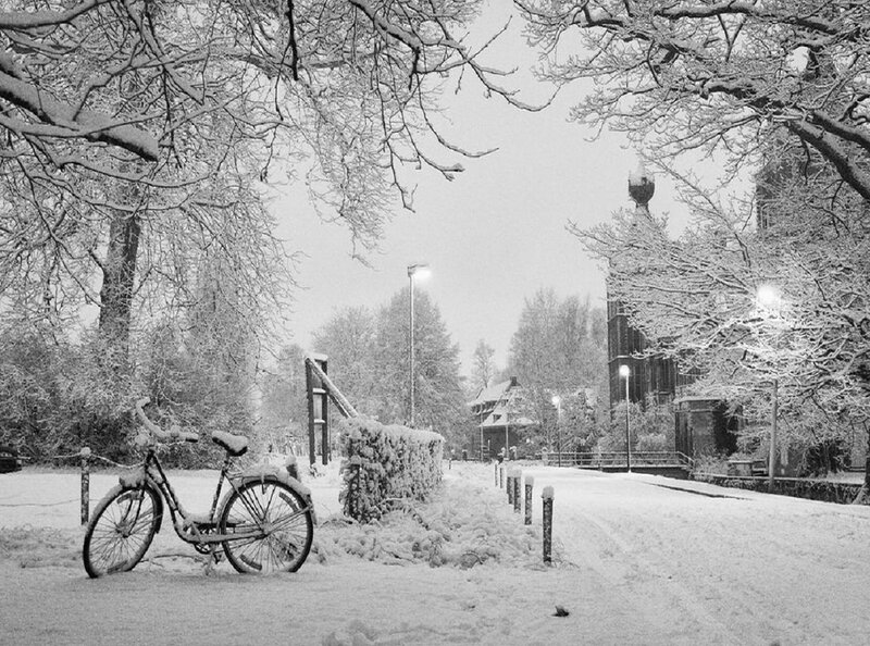 Bicycle in Snow — Black, Quiet