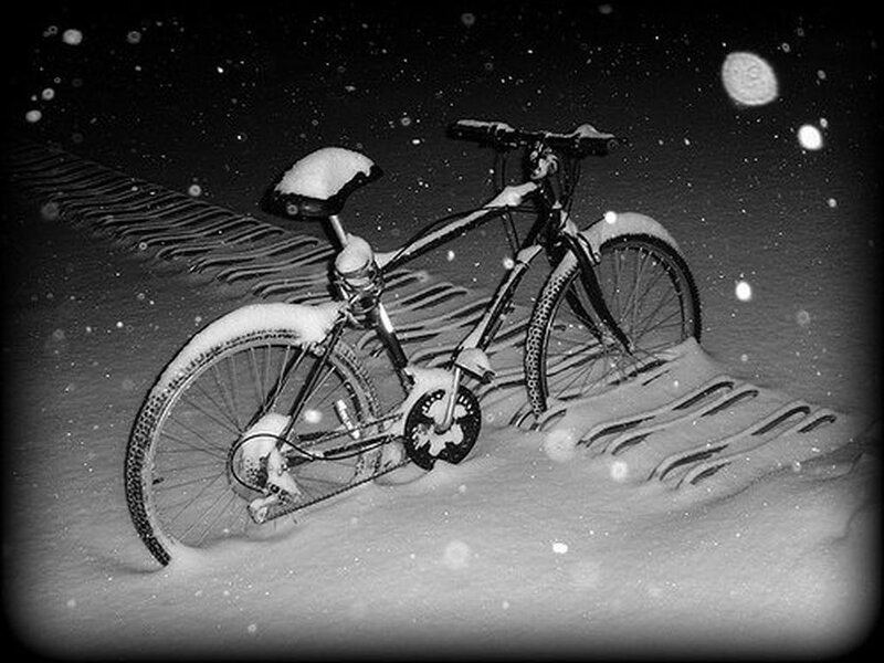 Bicycle in Snow — Black