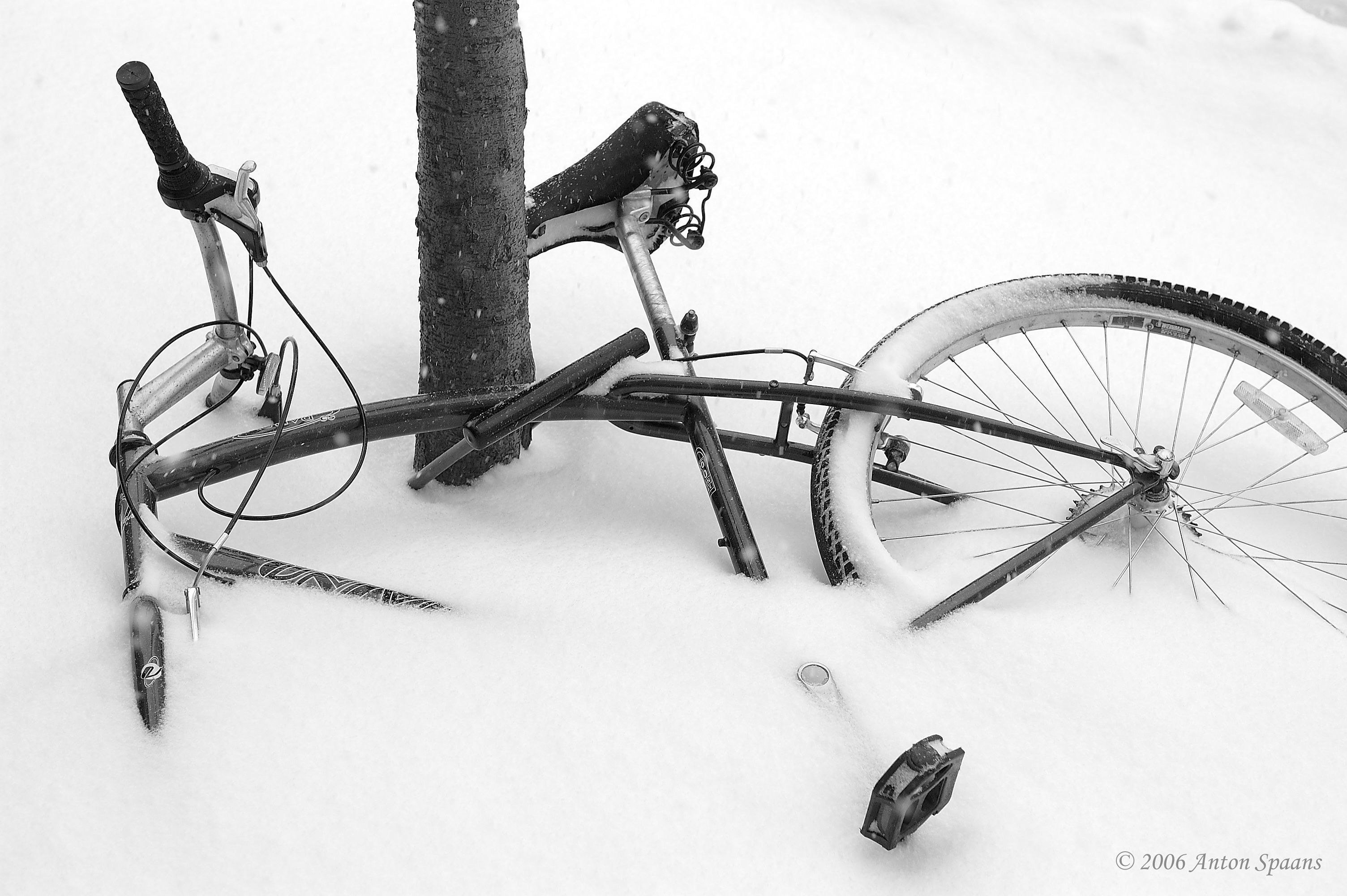 Bicycle in snowstorm