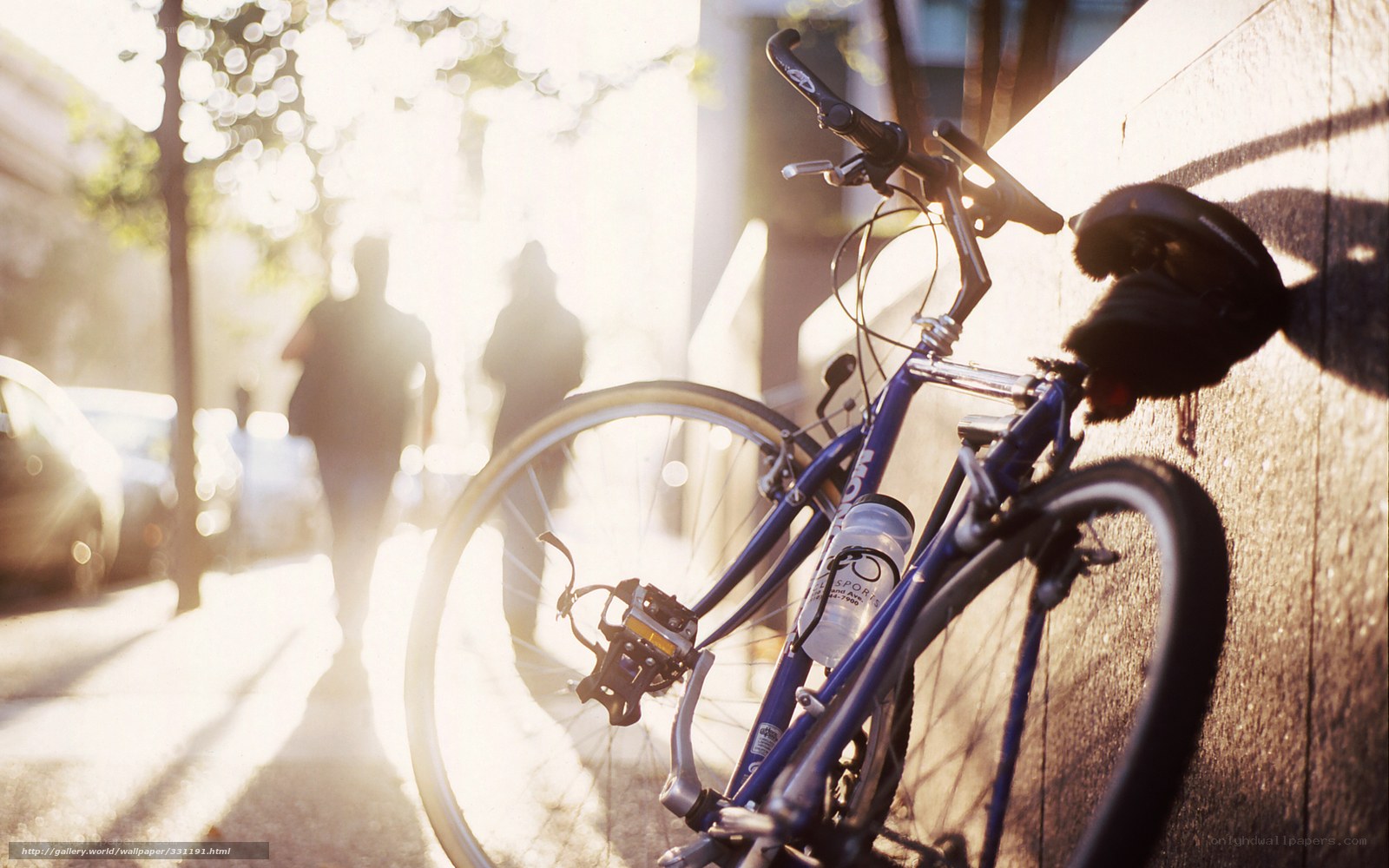 Bicycle in Sunlight on Street