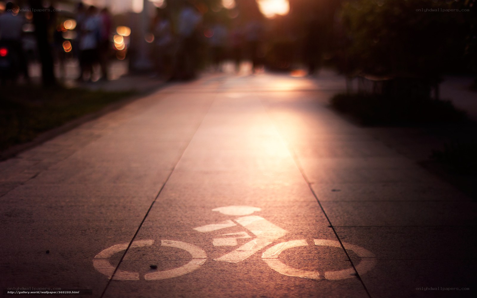 Bicycle lane at sunset