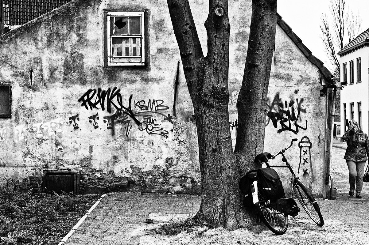 Bicycle leaning against a tree