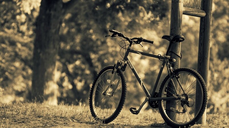 Bicycle Leaning Against Post