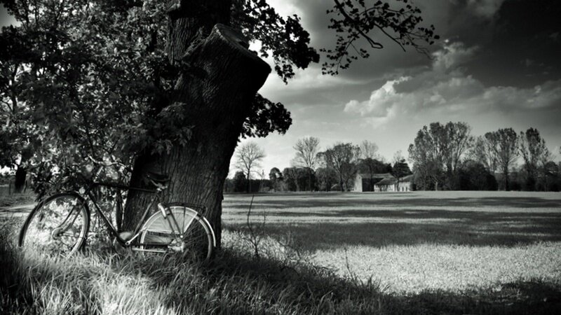 Bicycle Leaning Against Tree — Black