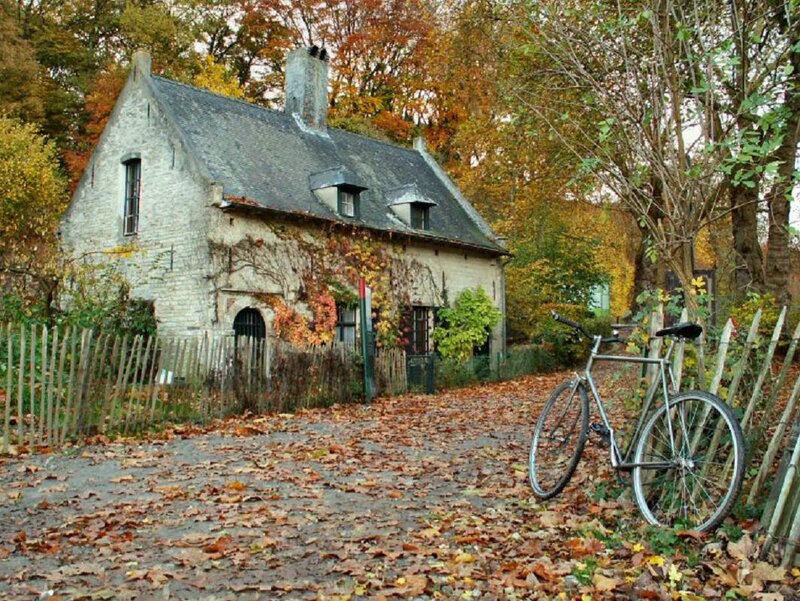 Bicycle Near Cottage