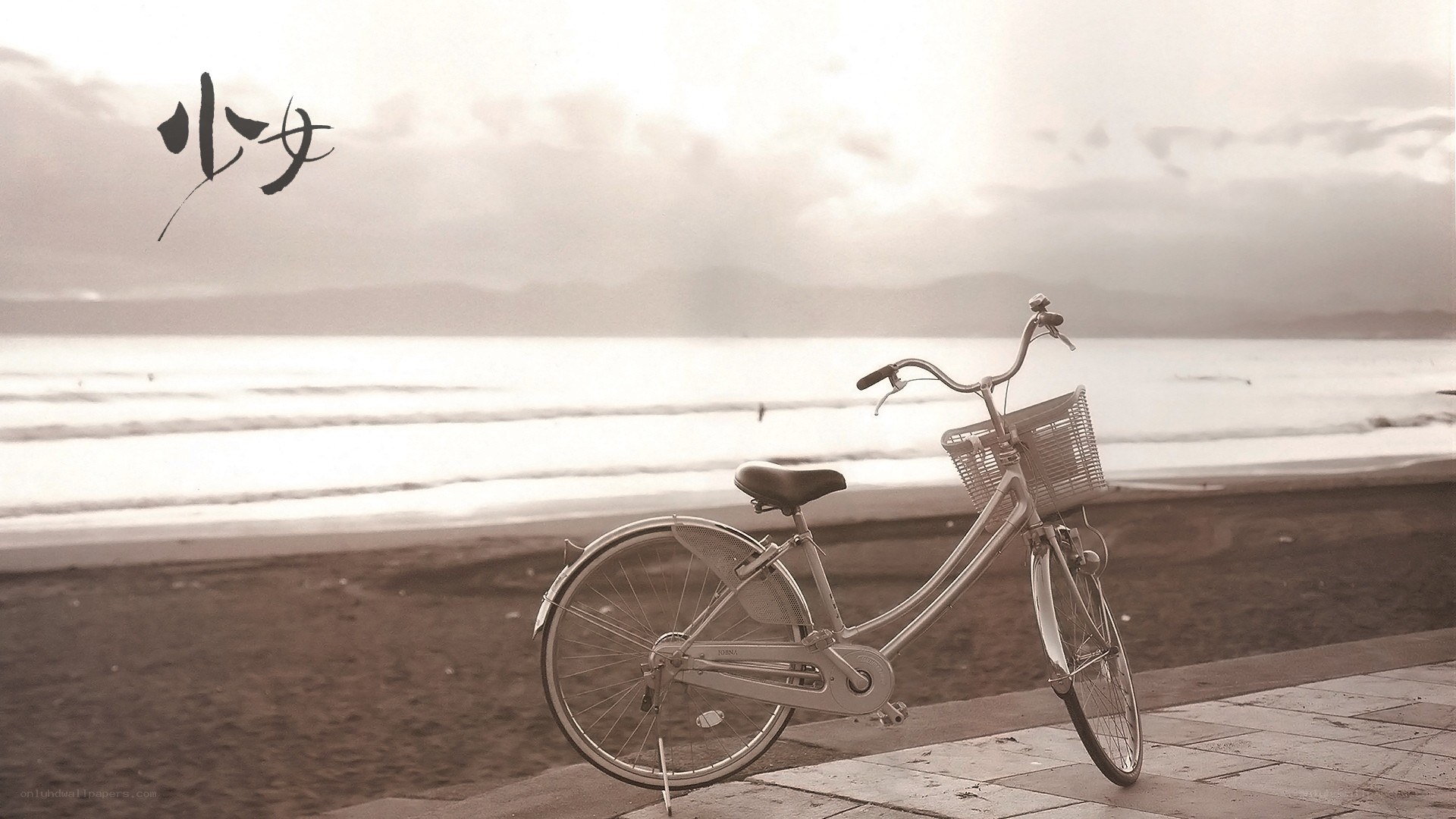 Bicycle on a beach at sunset