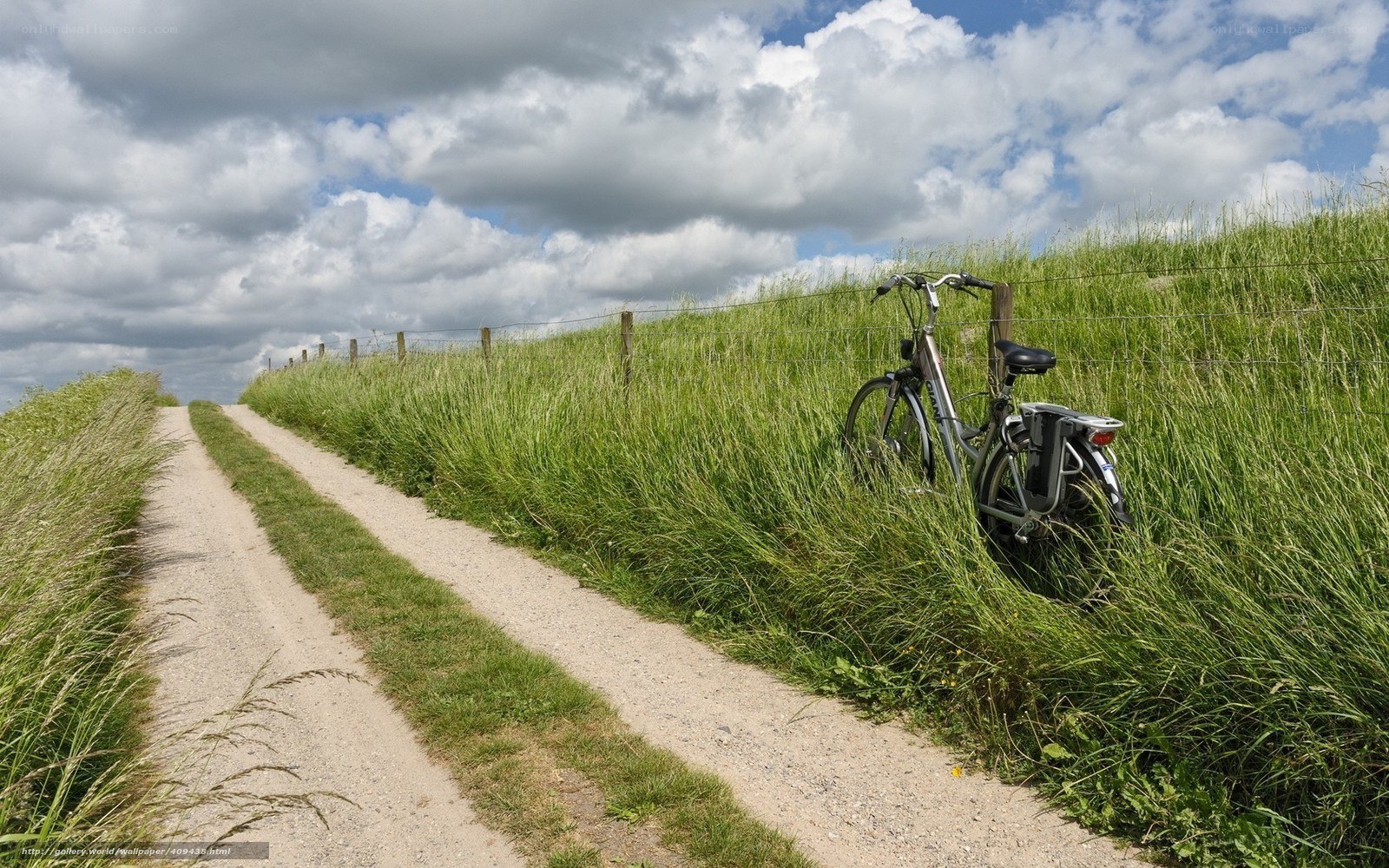 Bicycle on a country path