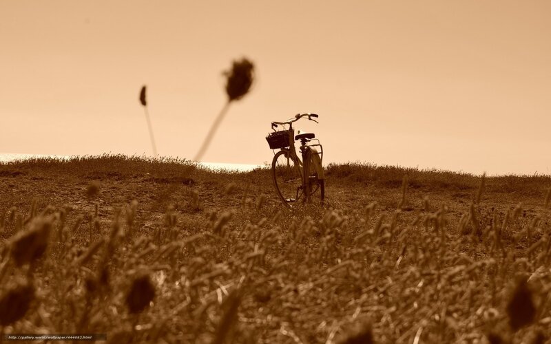 Bicycle on a grassy hill