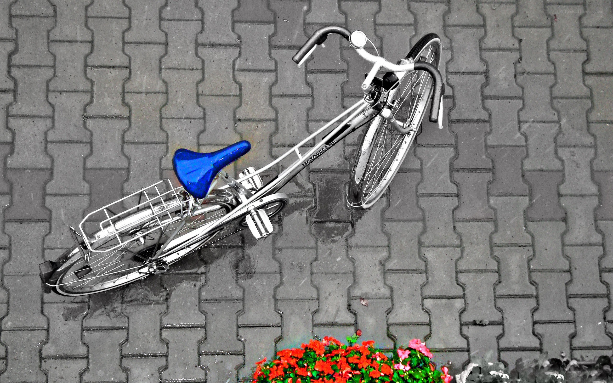 Bicycle on a rainy day