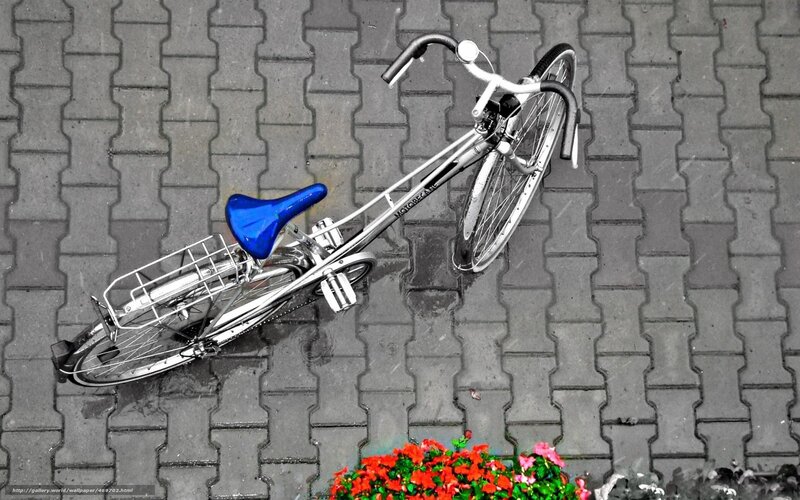 Bicycle on a rainy day