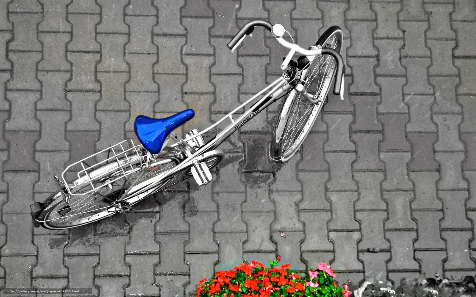 Bicycle on a rainy day