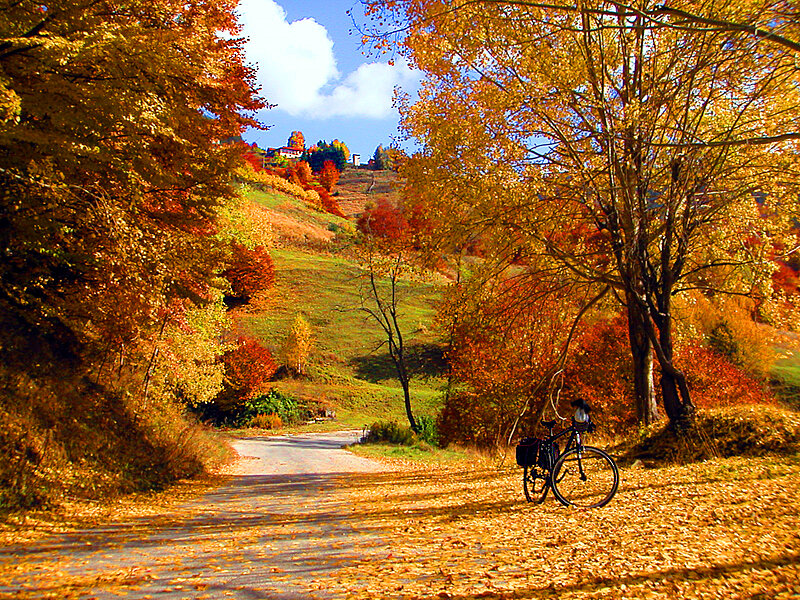 Bicycle on Autumn Road