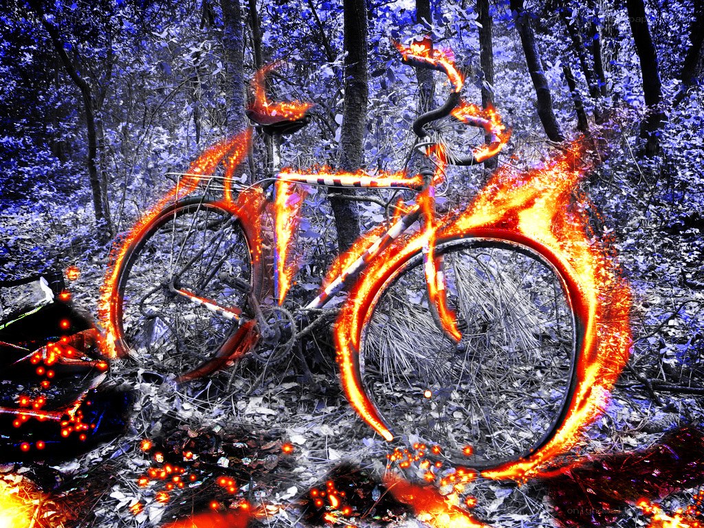 Bicycle on fire in forest