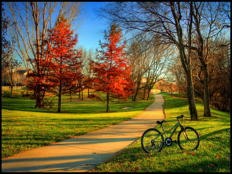 Bicycle on Grass — Green, Serene