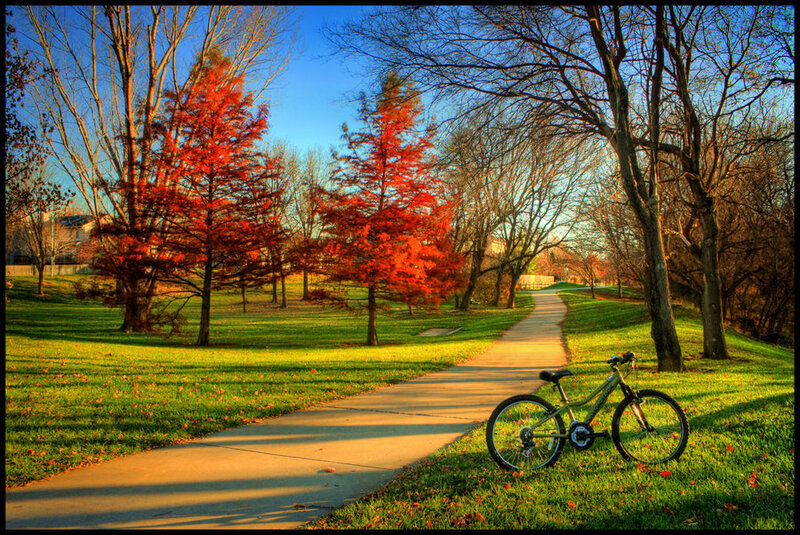 Bicycle on Grass