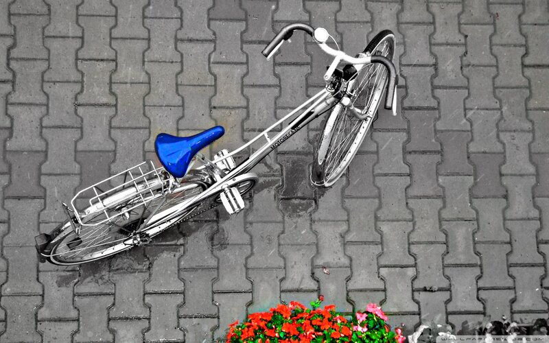 Bicycle on Pavement