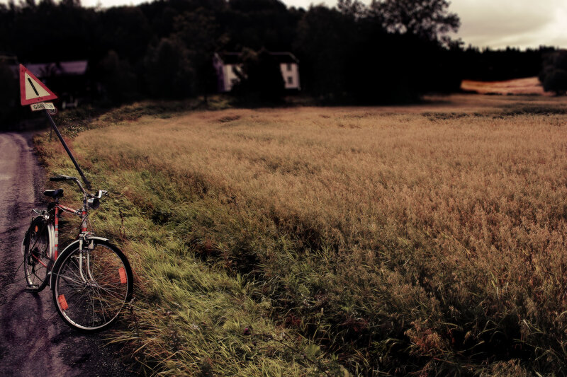 Bicycle on Roadside