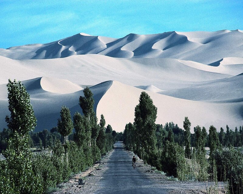 Bicycle path through desert dunes
