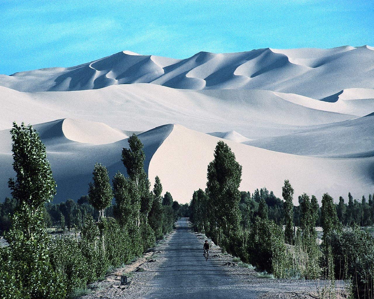Bicycle path through desert dunes