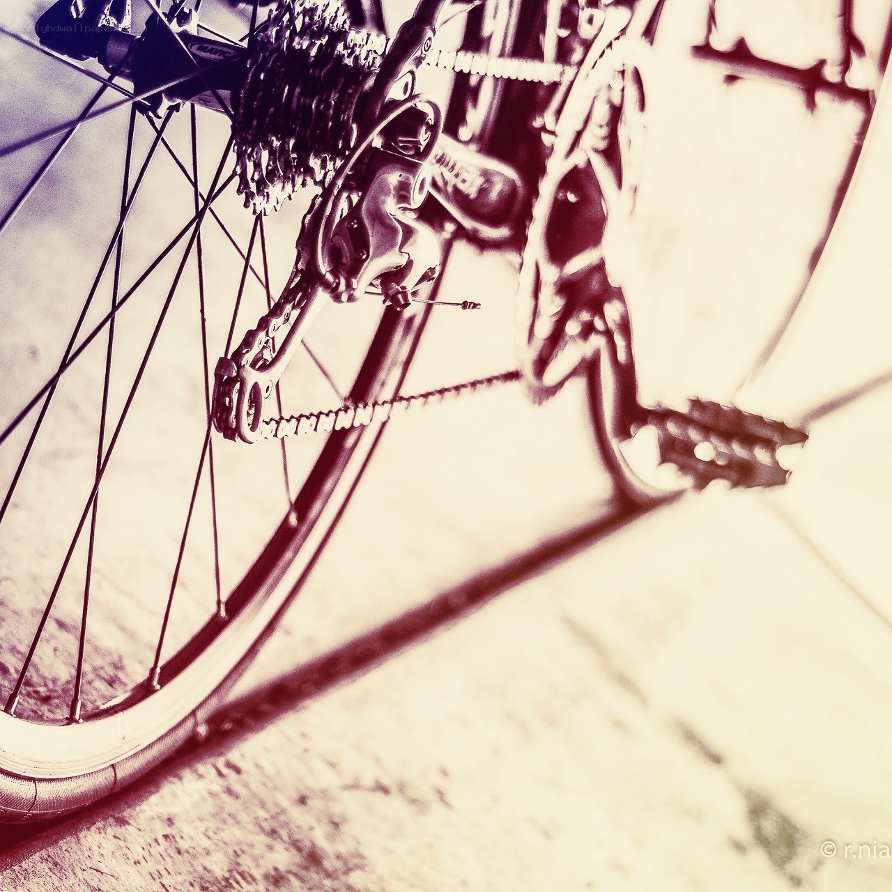 bicycle rear wheel and drivetrain