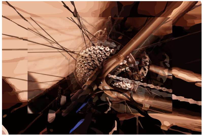 Bicycle Rear Wheel — Brown