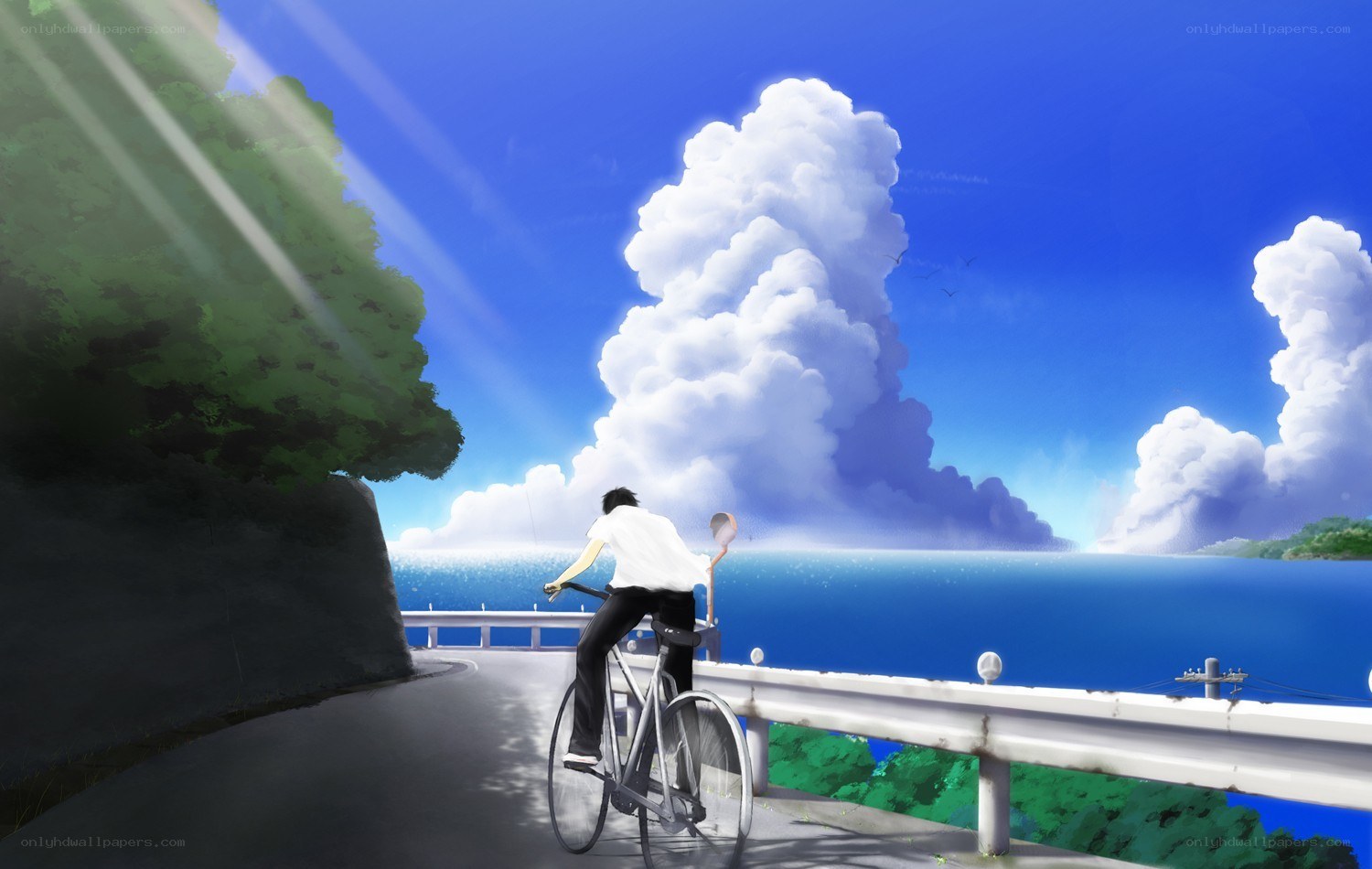 Bicycle ride by the sea