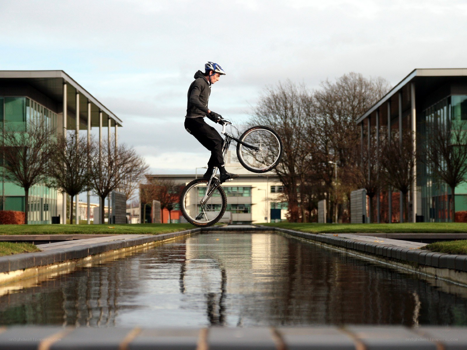 Bicycle rider performing trick