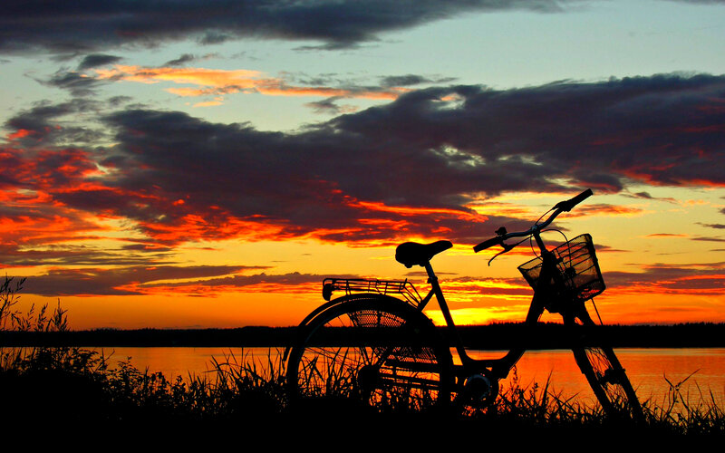 Bicycle Silhouette