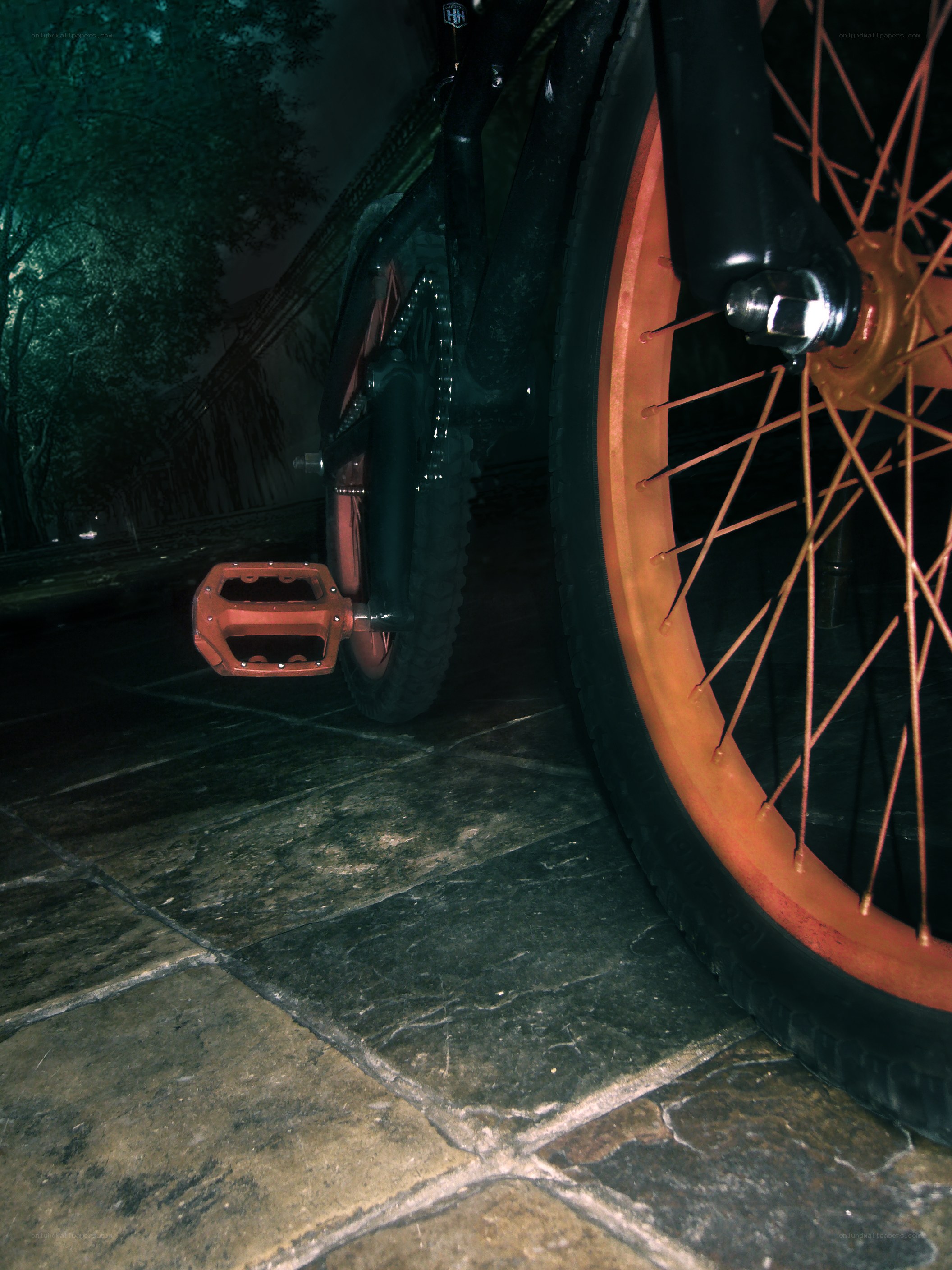 Bicycle wheel at night