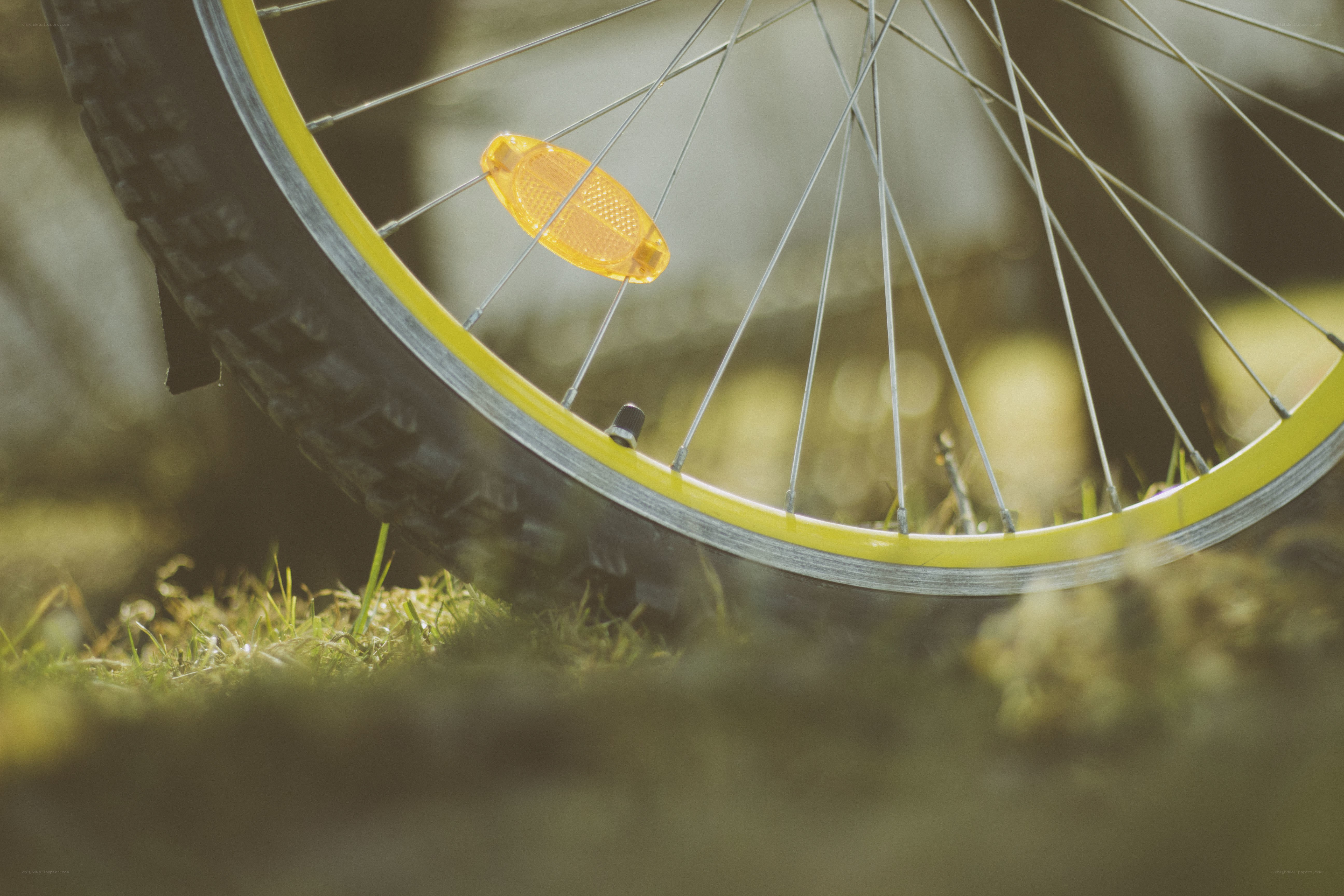 Bicycle wheel in sunlight