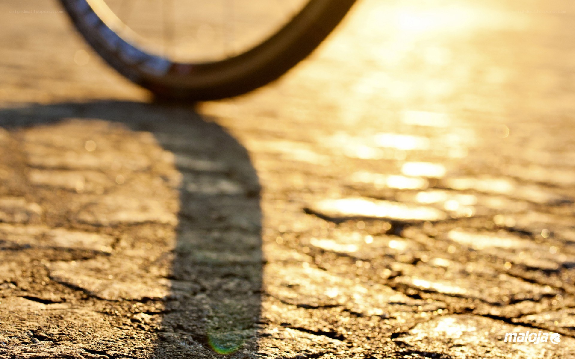 bicycle wheel shadow at sunset