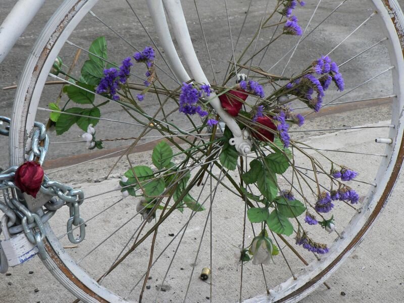 Bicycle Wheel with Flowers