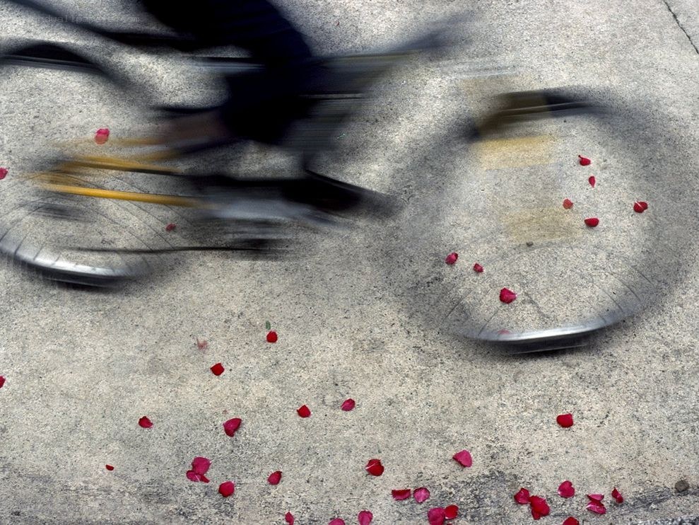 Bicycle wheel with rose petals