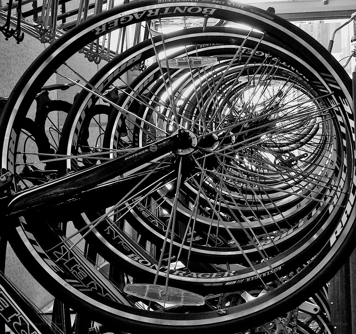 Bicycle wheels in a shop