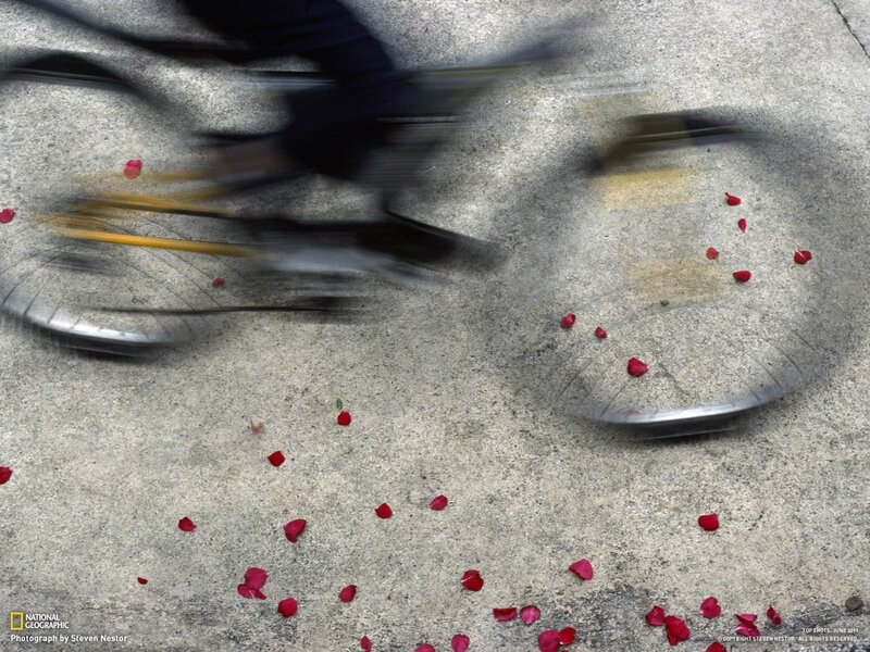 Bicycle wheels in motion