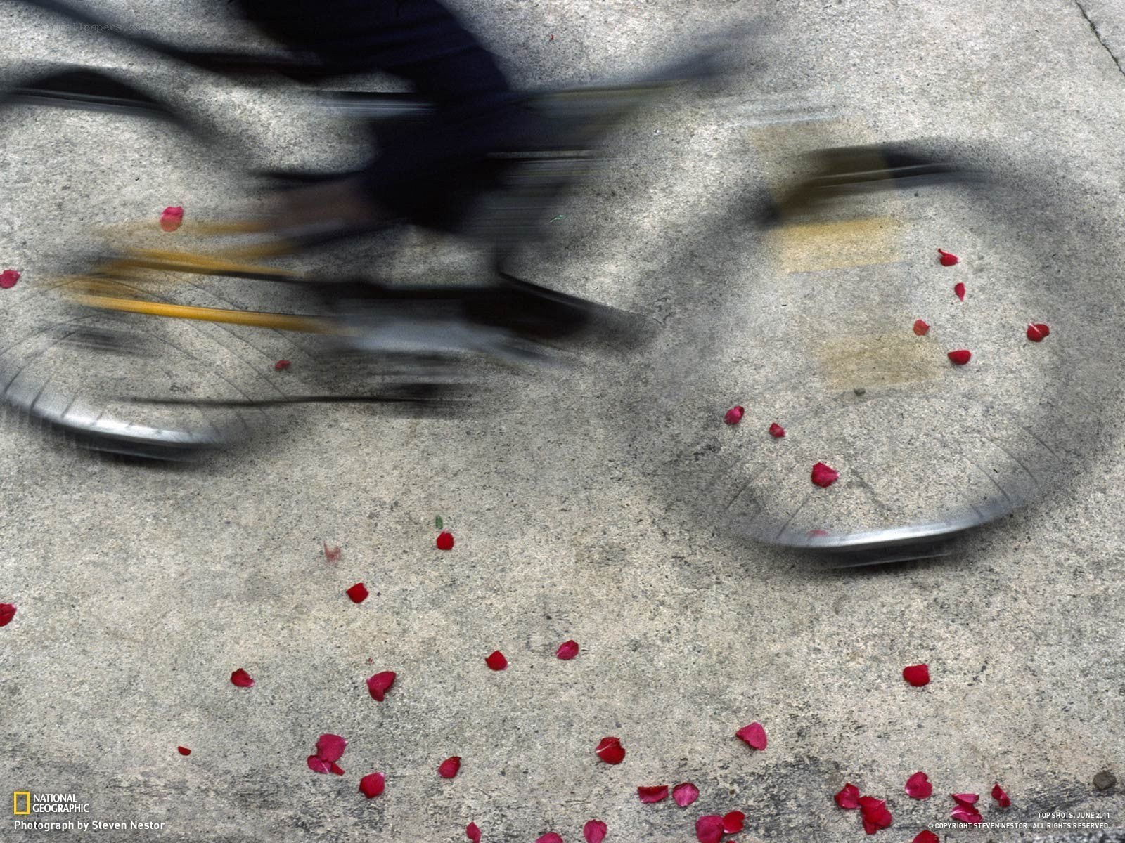 Bicycle wheels in motion