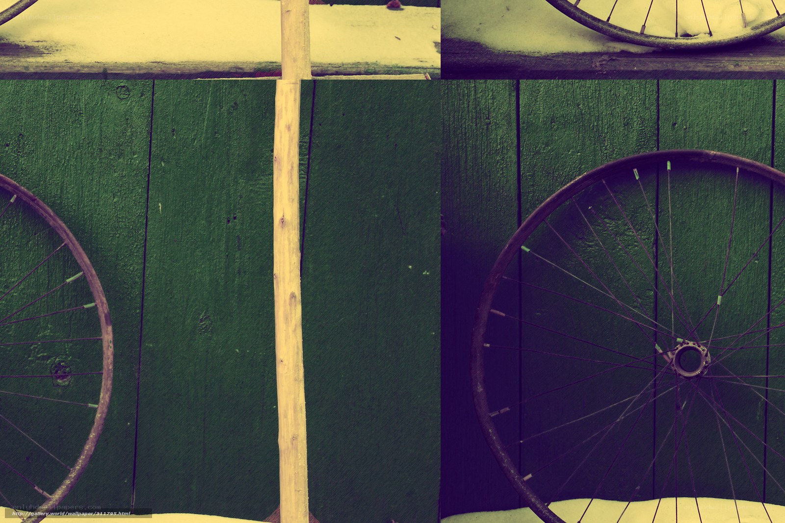 bicycle wheels on green wall