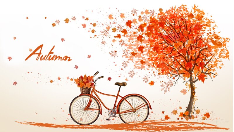 Bicycle with Autumn Leaves