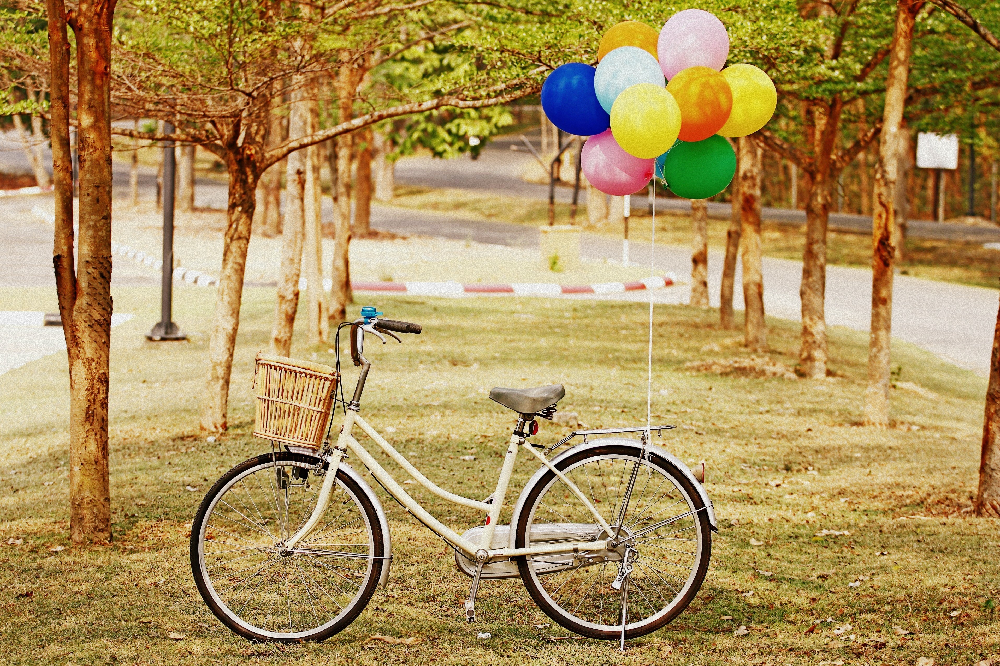 Bicycle with balloons in park