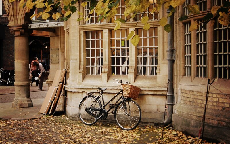 Bicycle with Basket — Brown
