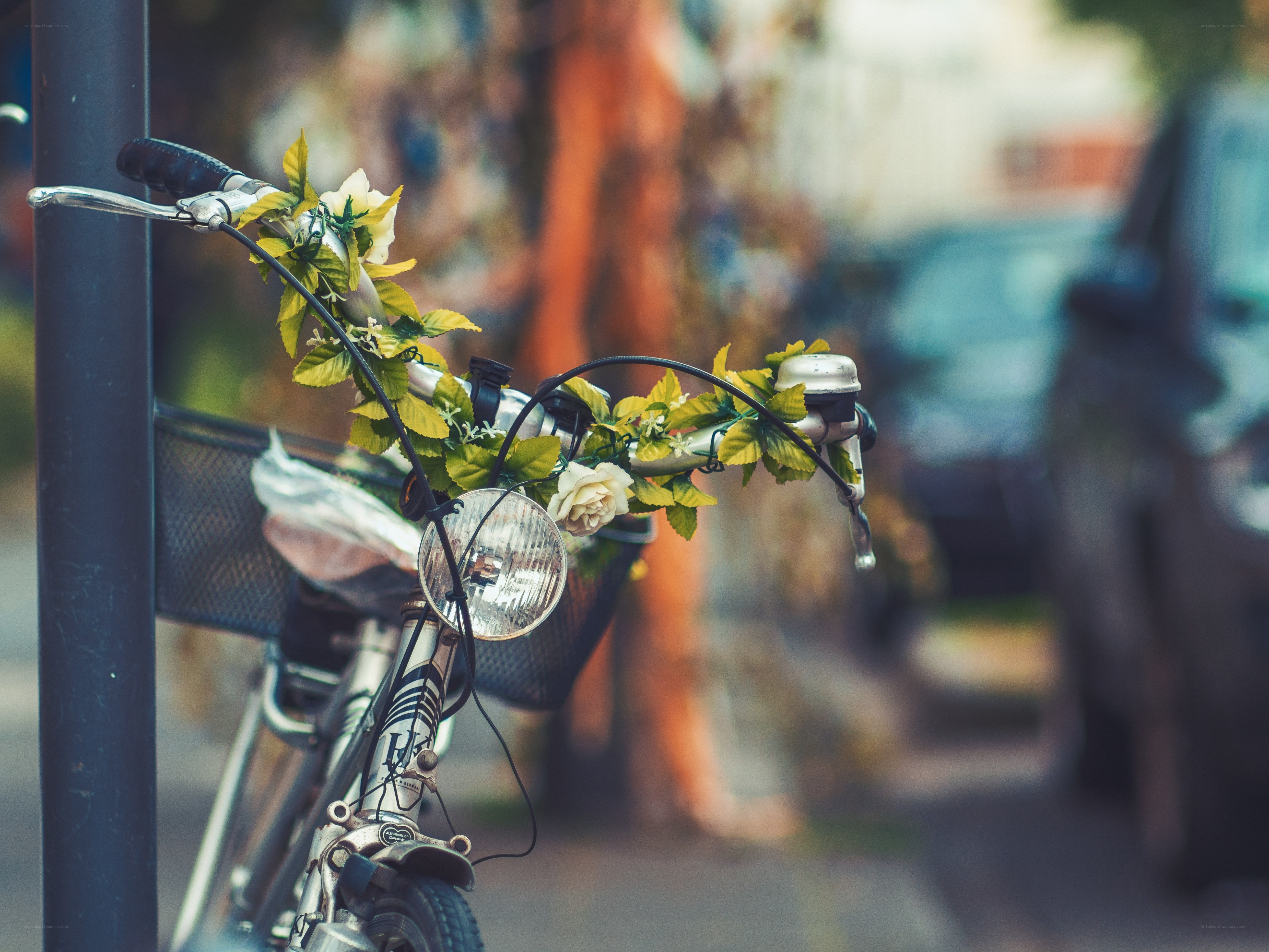 Bicycle with floral decoration