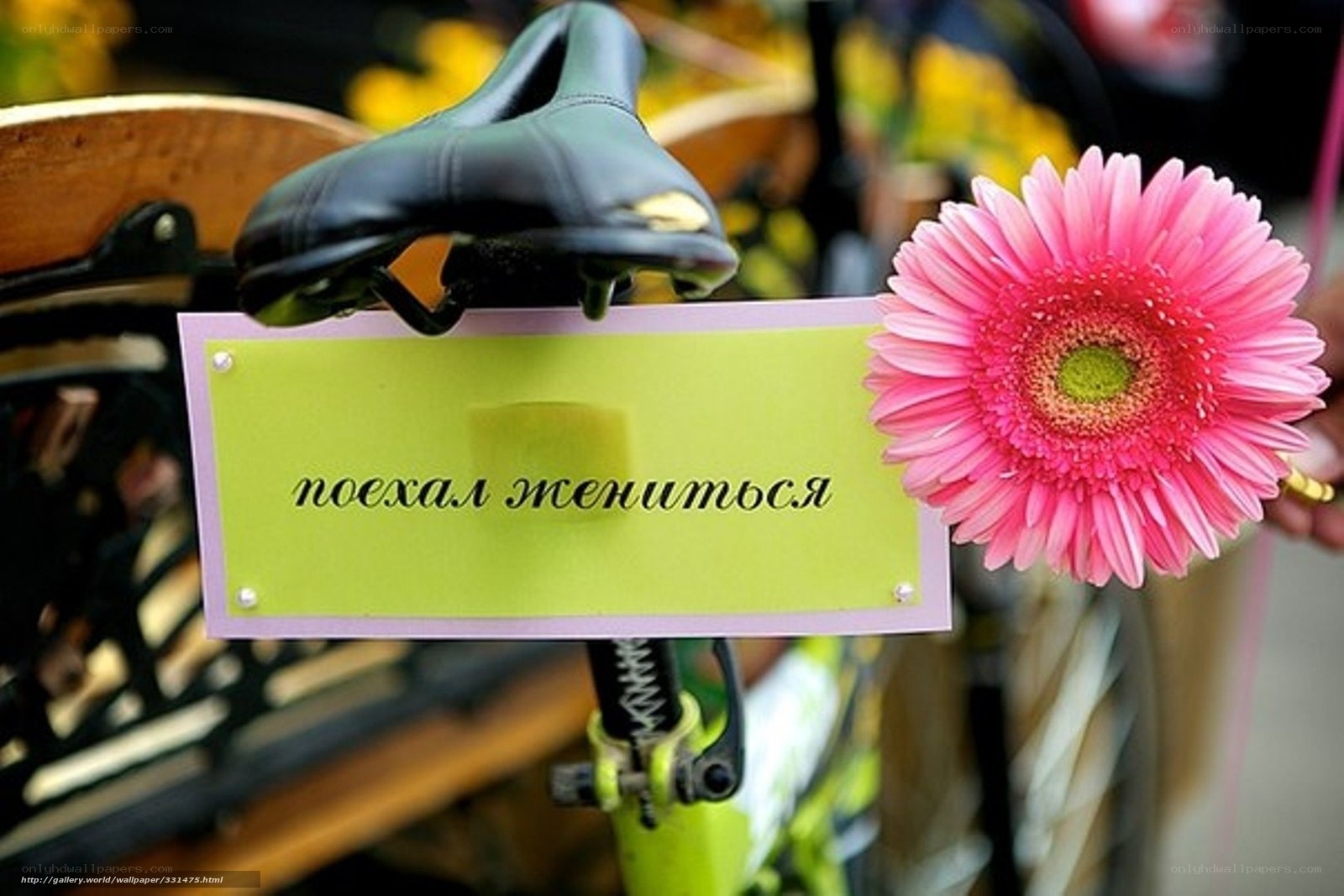 Bicycle with flower and sign