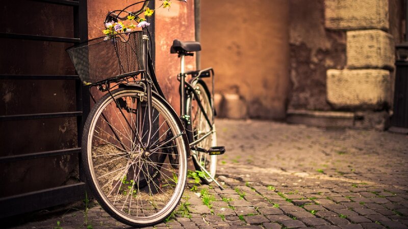 Bicycle with Flower Basket — Brown