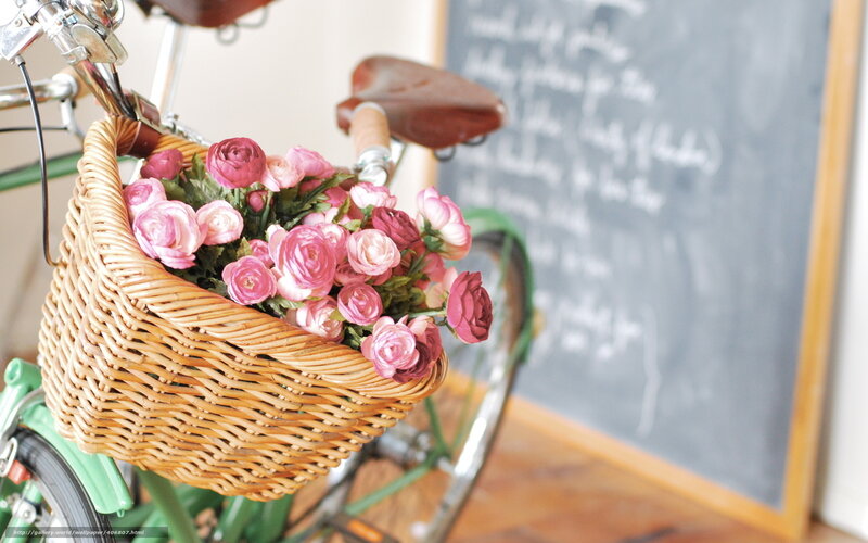 Bicycle with Flower Basket — Pink, Calm