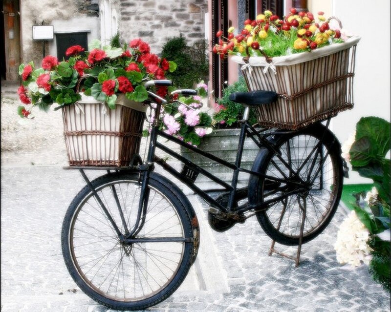 Bicycle with Flower Baskets — Black
