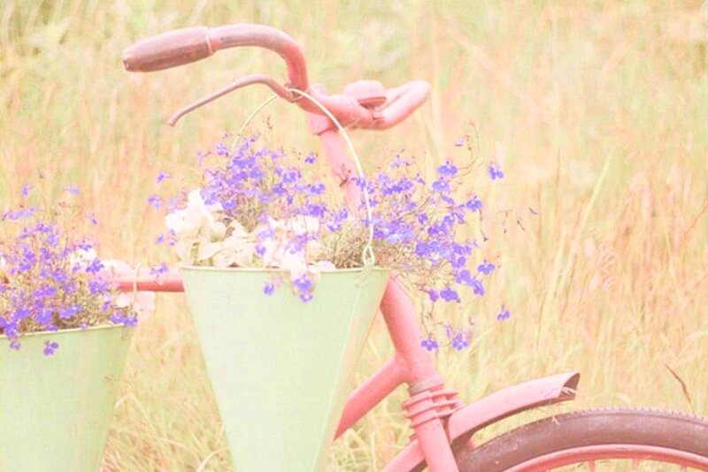 Bicycle with Flower Baskets — Green