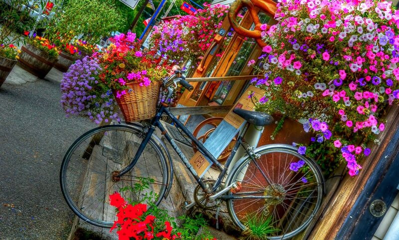 Bicycle with Flower Baskets — Pink
