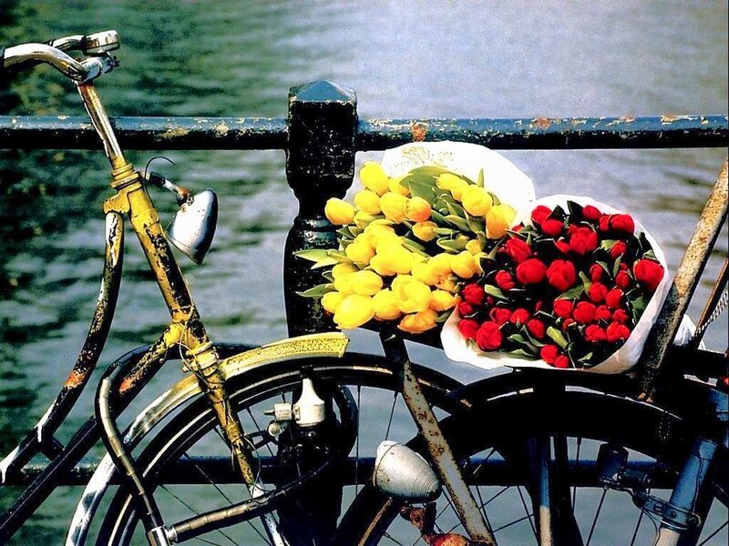 Bicycle with Flower Bouquets