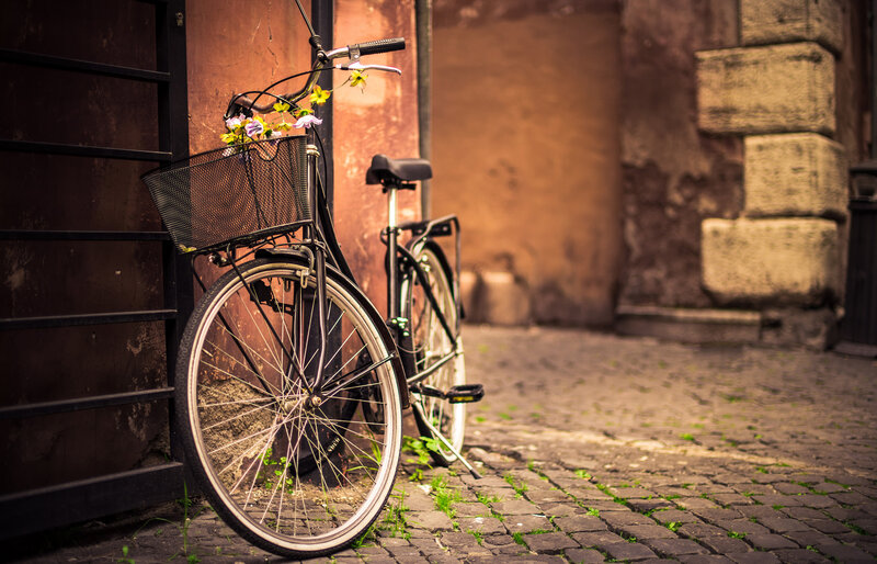 Bicycle with Flowers — Brown, Serene